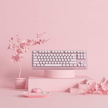 Amazon | EPOMAKER サクラ87キー RGB 有線メカニカルキーボード