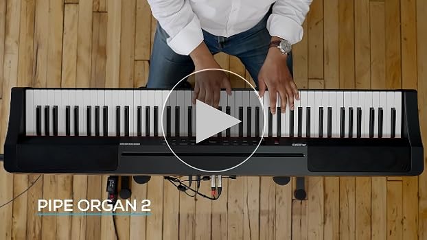 Amazon.com: Alesis Prestige Artist - 88 Key Digital Piano with