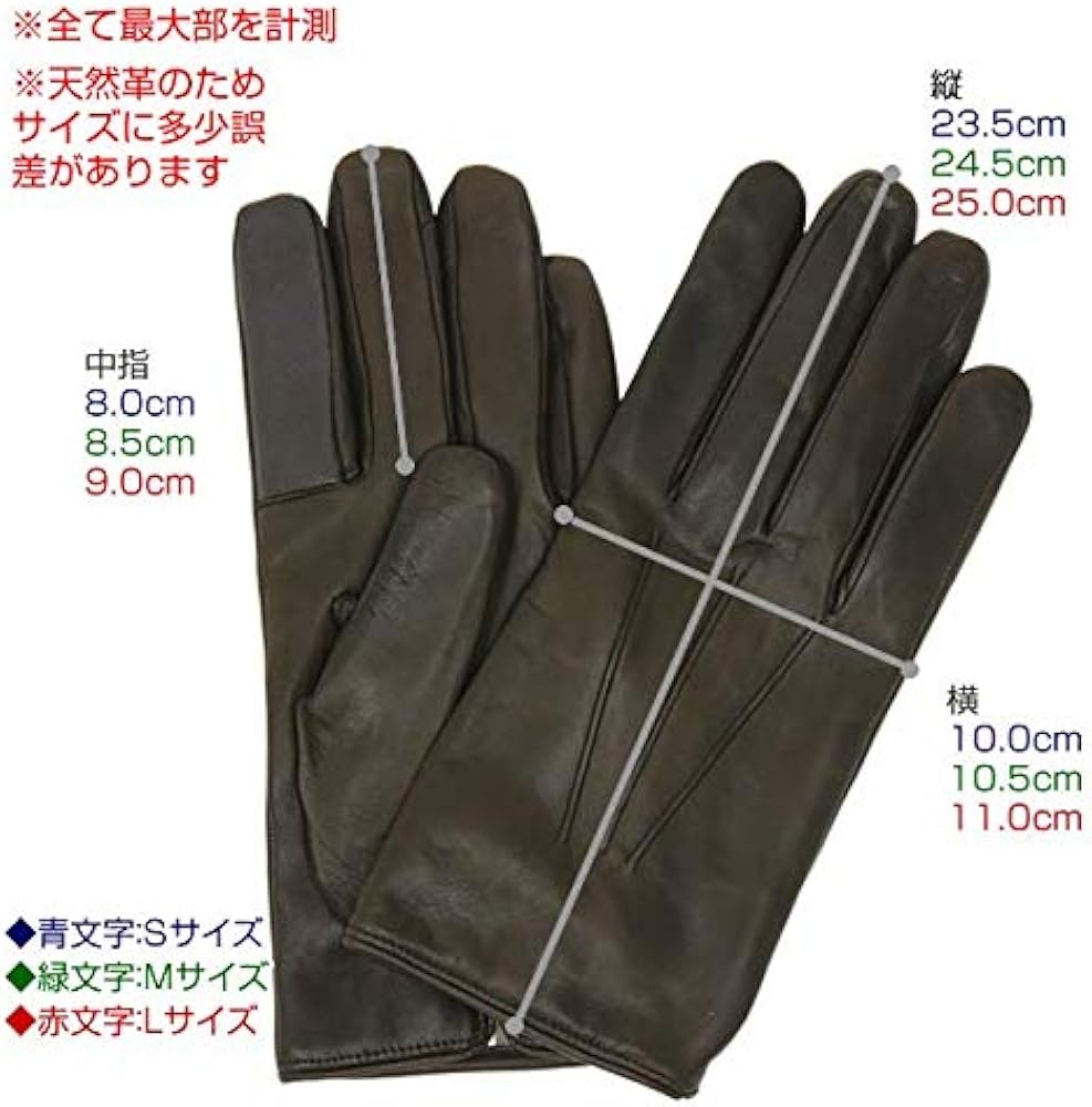 Amazon | [キャロンセレクト] レザーグローブ イタリア製 メンズ