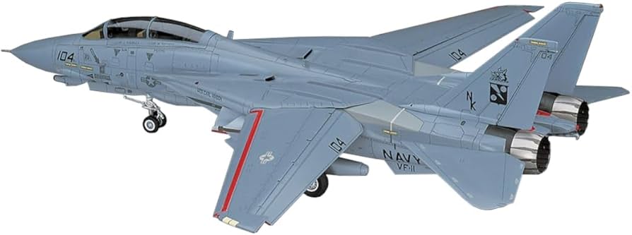 Amazon | ハセガワ 1/48 F-14D スーパートムキャット CVW-14 #PT12