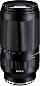 Amazon.com : Tamron 70-300mm F/4.5-6.3 Di III RXD for Sony