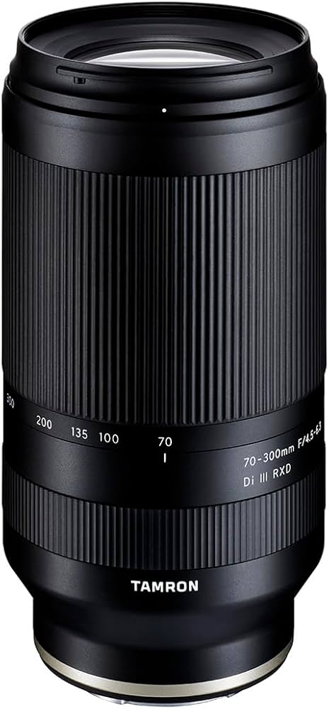 Amazon.com : Tamron 70-300mm F/4.5-6.3 Di III RXD for Sony