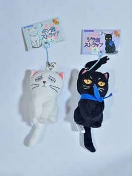 51f6JJyJeML._AC_UF350,