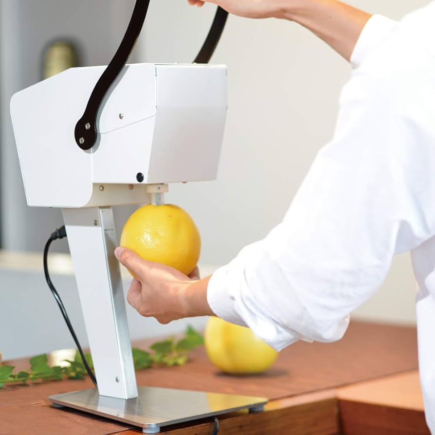 51fR+hVsg4L._AC_UF894,