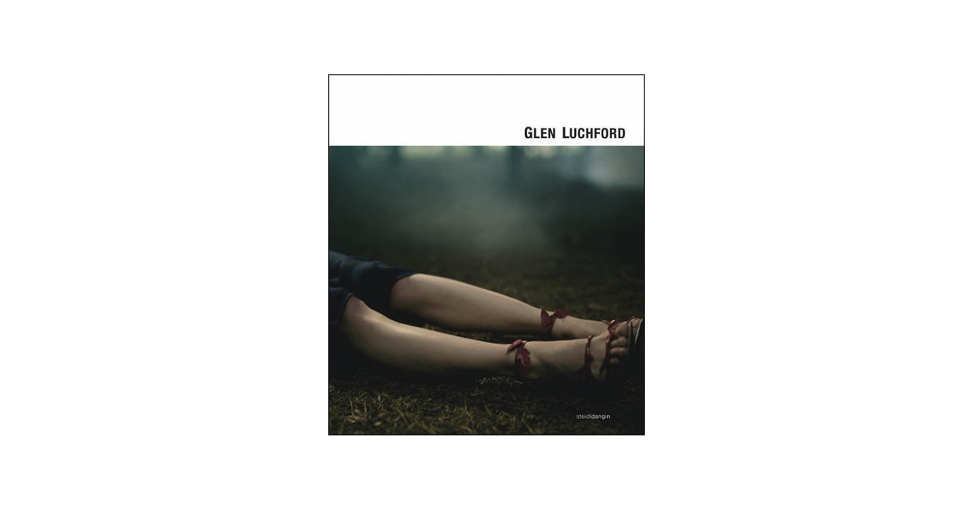 Amazon.com: Glen Luchford: 9783865218919: Luchford, Glen: Books