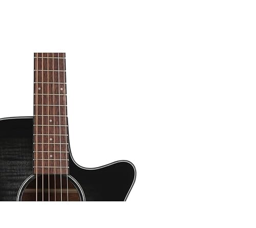 Amazon.com: Ibanez AEG70 Acoustic-Electric Guitar - Transparent