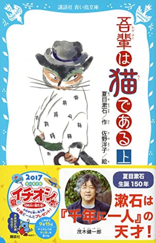 51hZybT13mL._AC_UF1000,