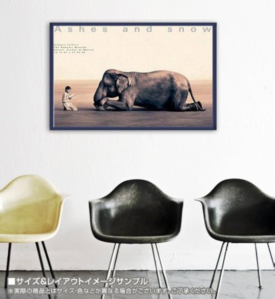 Amazon.co.jp: Gregory Colbert Ashes and Snow Boy Reading Book to