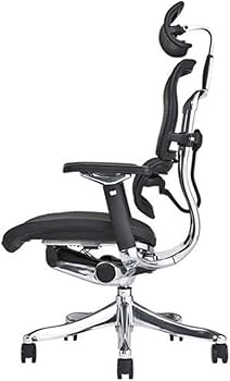 Amazon.co.jp: 【旧型】 エルゴヒューマン プロ オフィスチェア