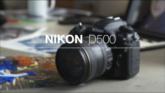Amazon.com : Nikon D500 DX-Format Digital SLR with 16-80mm ED VR
