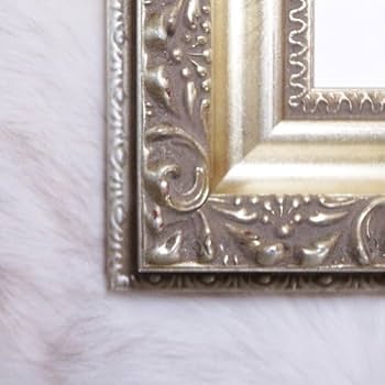 Amazon｜ポスター ダニー ライアン Crossing the Ohio 額装品 ヴィド