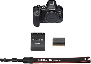 Amazon Canada: Canon EOS R6 Mark II Body