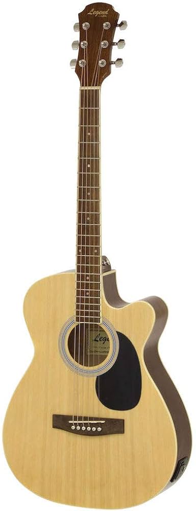 Amazon | LEGEND FG-15CE N エレクトリックアコースティックギター