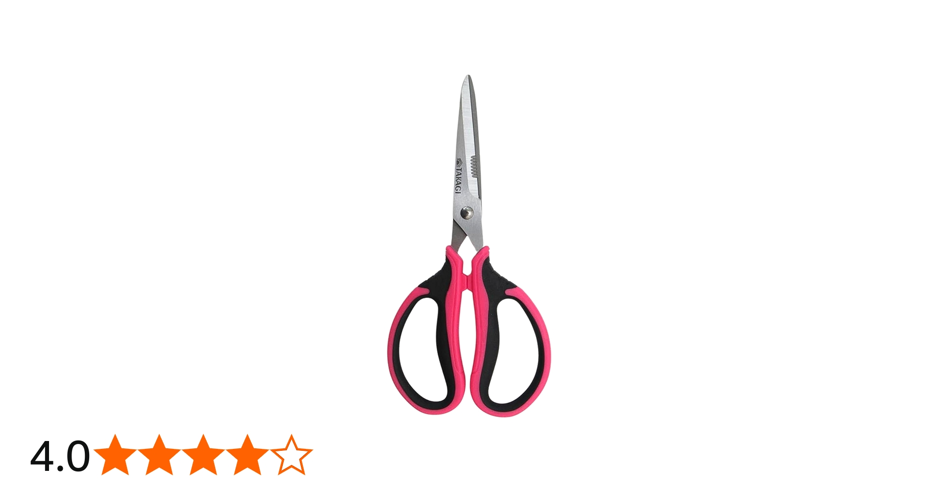 Amazon | 高儀(Takagi) TAKAGI クラフト鋏 ステンレス 190mm MS-190