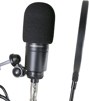 Amazon.com: YOUSHARES Audio-Technica AT2020 Pop Filter - 2 PCS