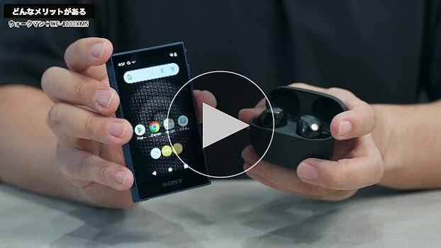 Amazon.co.jp: Sony NW-A306 Walkman 32GB A300 Series NW-A306