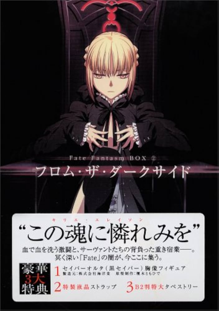 Amazon.co.jp: Fate Fantasm BOX (2) フロム・ザ・ダークサイド : 本