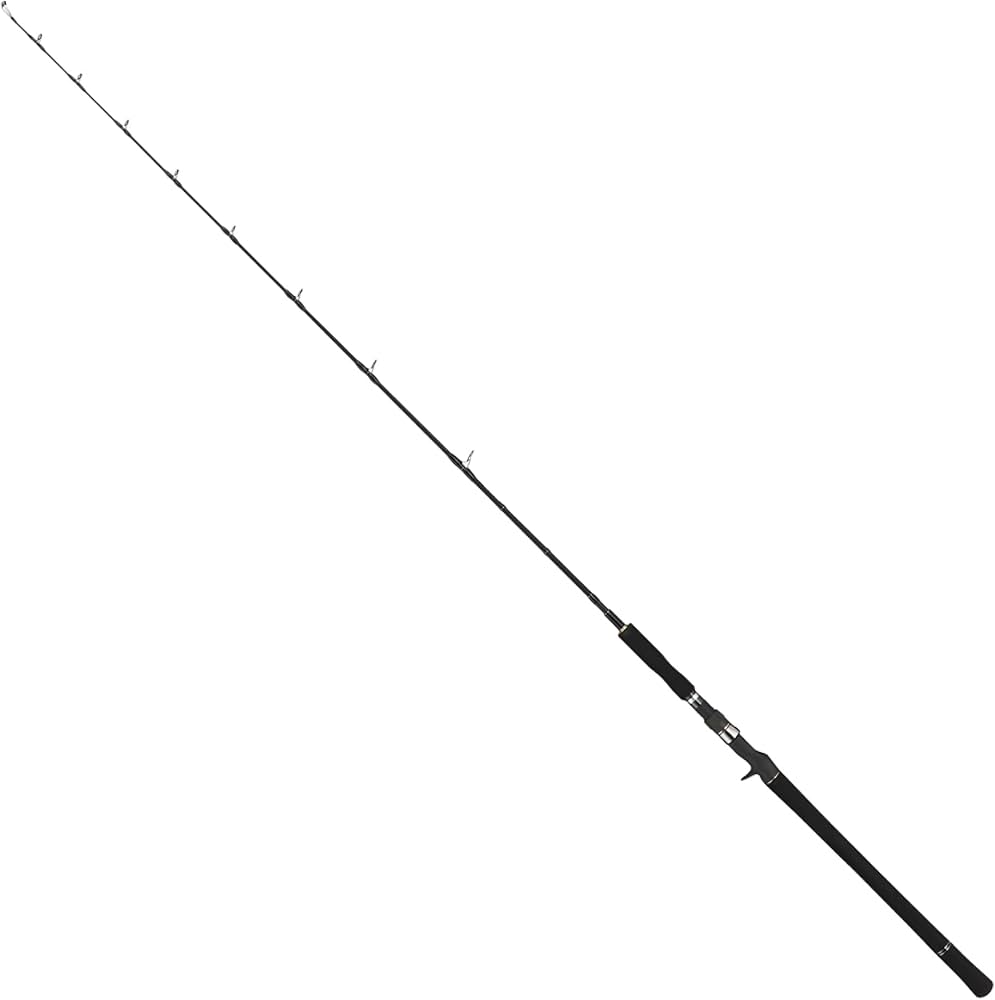 Amazon | テイルウォーク(Tailwalk) ロッド ジグフォース SSD C603