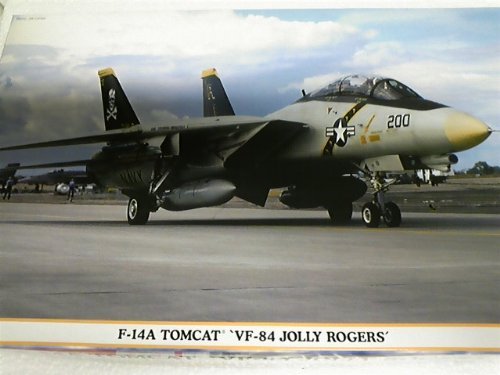 Amazon | ハセガワ 1/48 F-14Aトムキャット VF-84ジョリーロジャース