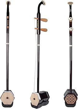 51m7z9rlbQL._AC_UF350,