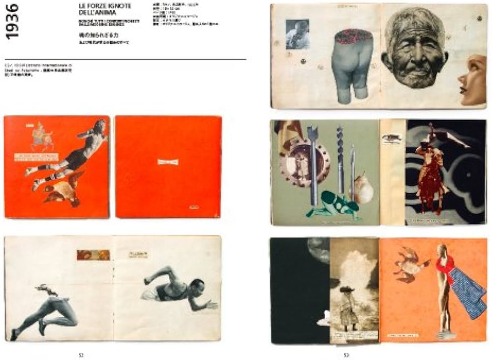 Amazon.co.jp: ブルーノ・ムナーリの本たち MUNARI I LIBRI 1929−1999