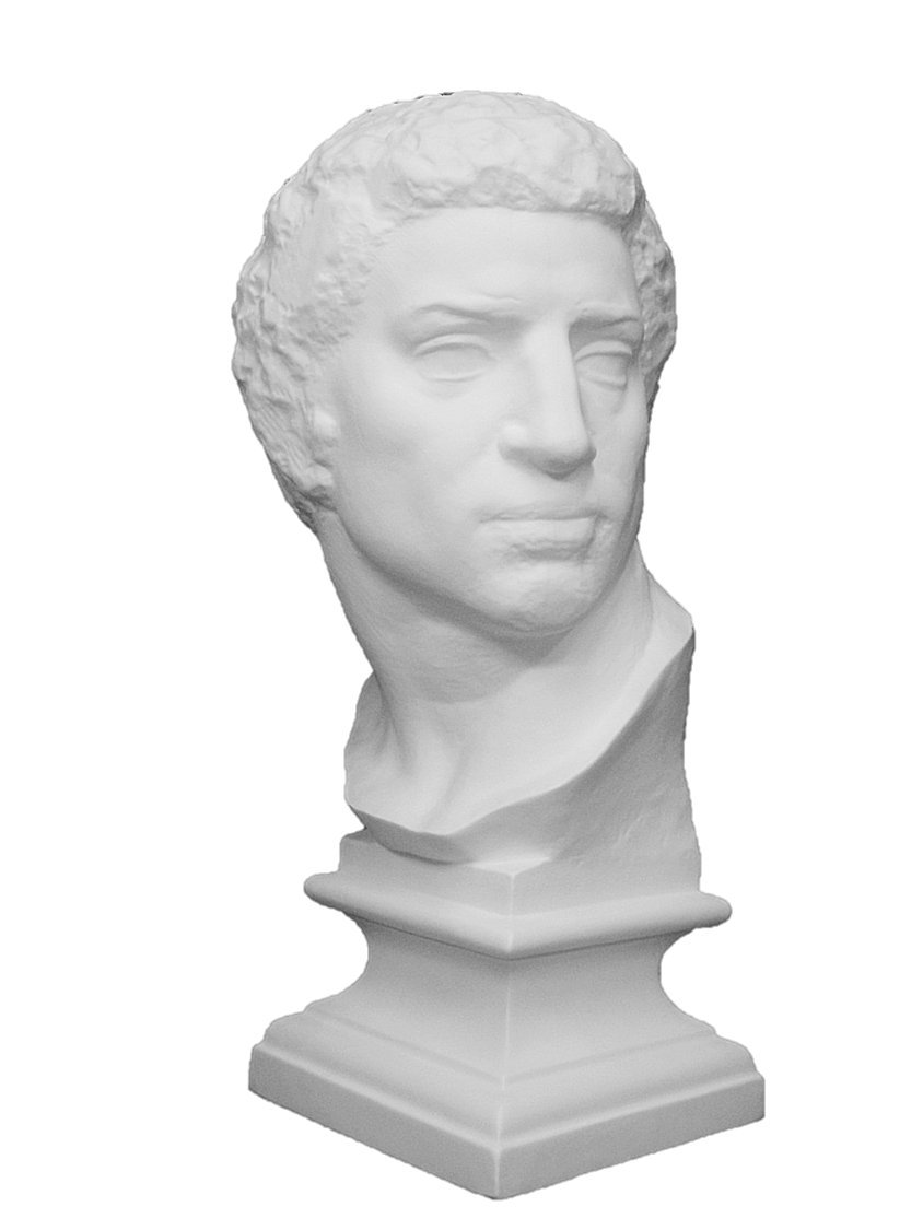 Amazon.co.jp: 石膏像 S－212 ブルータス首像 H．58cm