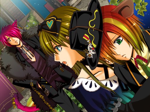 Amazon.co.jp: クローバーの国のアリス(通常版) - PSP : ゲーム