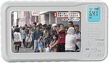 Amazon.co.jp: 【2024年発売】 ポータブルテレビ・4.3ンチ多機能