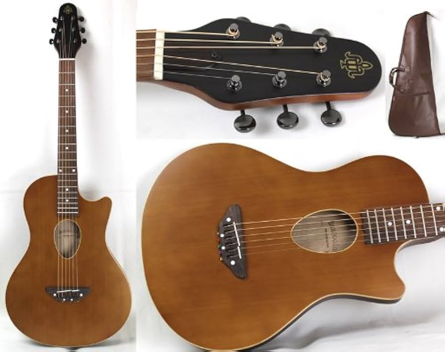 Amazon.co.jp: BambooInn BambooInn-C フォーク弦タイプ