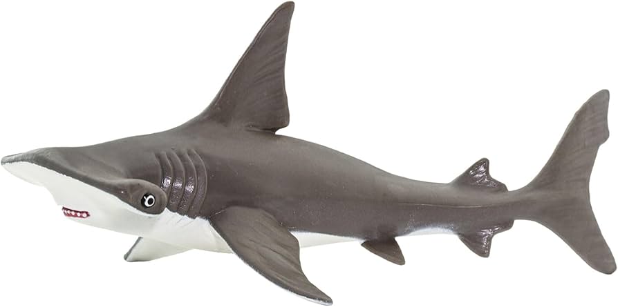 Amazon.com: Safari Ltd. Baby Hammerhead Shark Figurine - Detailed