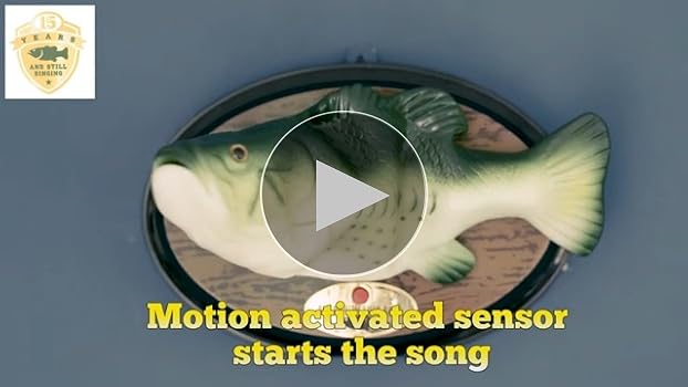 Amazon.com: Singing Fish Billy Bass - Sings 'I Will Survive' - Big