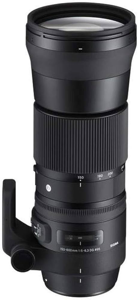 Amazon.co.jp: SIGMA 望遠ズームレンズ Contemporary 150-600mm F5-6.3