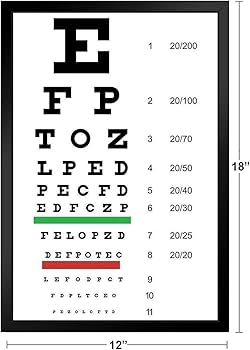 Amazon.co.jp: 目の検査チャート 視力検査チャート 目の検査用スネ