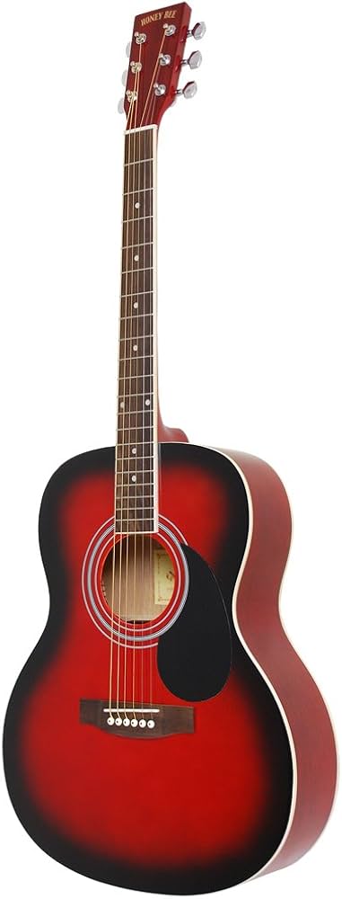 Amazon | HONEY BEE ハニービー アコースティックギター フォーク