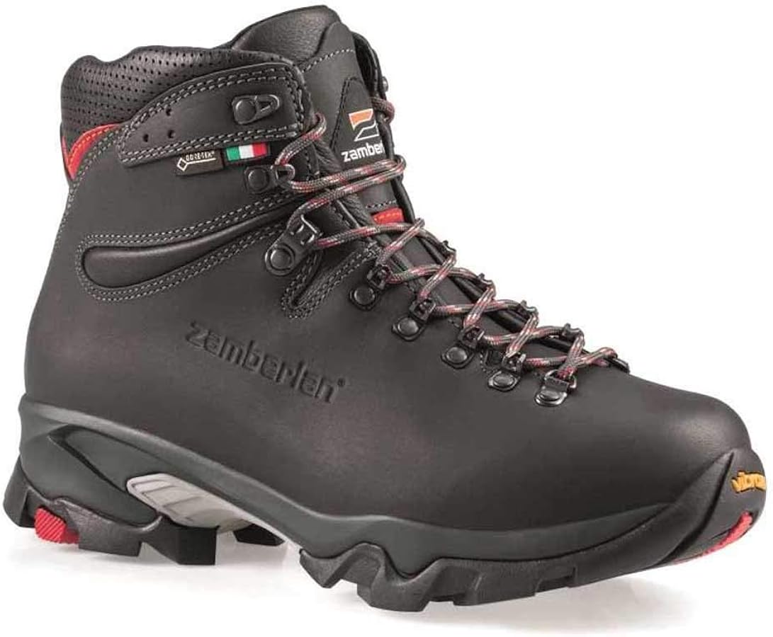 Amazon.com: Zamberlan VIOZ GTX Dark Grey EU 42.5 (US Men's 8.5) E