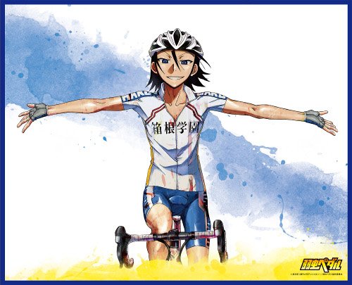 Amazon.co.jp: C85限定 コミケ 弱虫ペダル ブランケット 東堂尽八 : ホビー