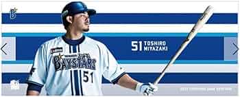 51n0Cq4mC2L._AC_UF350,