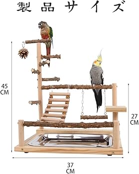 Amazon | バードアスレチック 鳥アスレチック 止まり木 パーチ 天然木