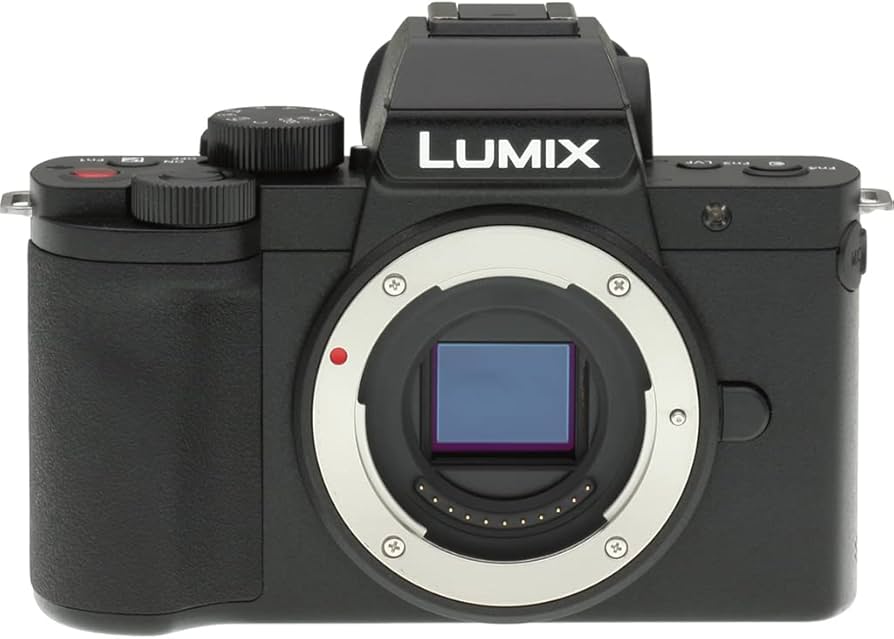 Amazon.com: Panasonic LUMIX G100 4k Mirrorless Camera DC-G100