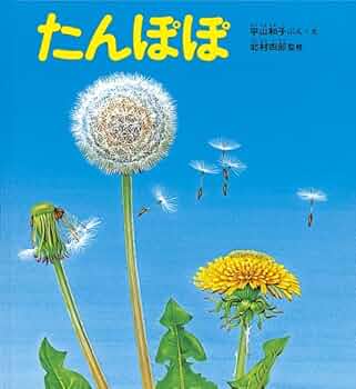 51oGvvtDmlL._AC_UF350,