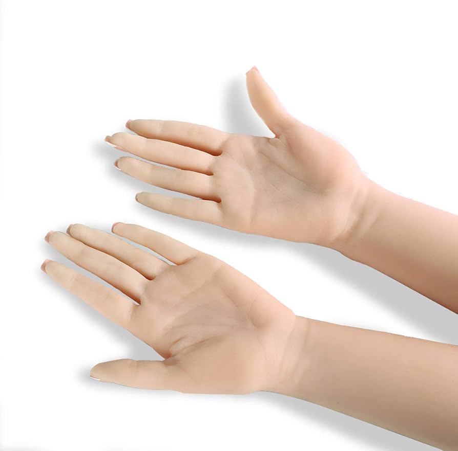 Amazon | ハンドモデル 手 マネキン 模型 トルソー 女性 自然感 超