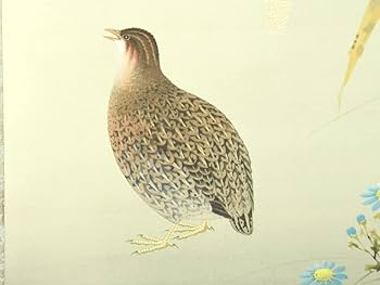 Amazon.co.jp: 真作 山田帆丘 （作） 「栗に鵜」 軸 掛軸 共箱 花鳥