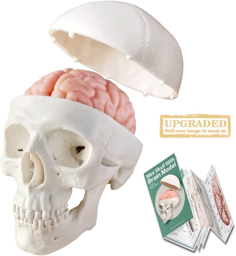 51pNvvuL+qL._AC_UF1000,