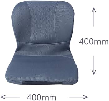 Amazon.co.jp: PINTO W 【正規品】骨を支える腰ラク習慣 疲れを感じ