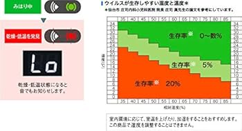 51pqynr+bbL._AC_UF350,