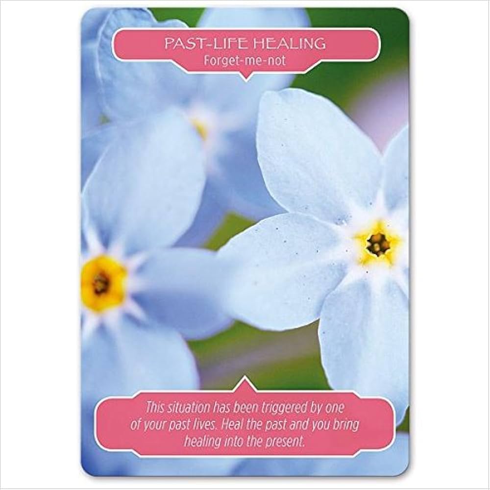 51qJdNOqRlL._AC_UF1000,