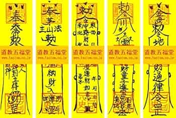 51qaAHo91SL._AC_UF350,