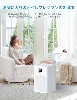 Amazon.co.jp: 空気清浄機 小型【花粉対策＆省エネ設計】24～40畳対応