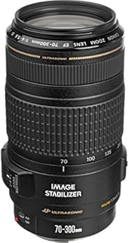 Amazon.com : Canon EF 70-300mm f/4-5.6 is USM Lens for Canon EOS