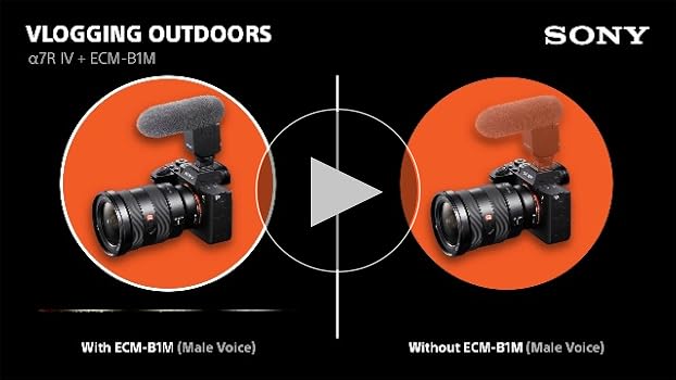 Amazon.com: Sony ECM-B1M Compact Shotgun Microphone with Digital